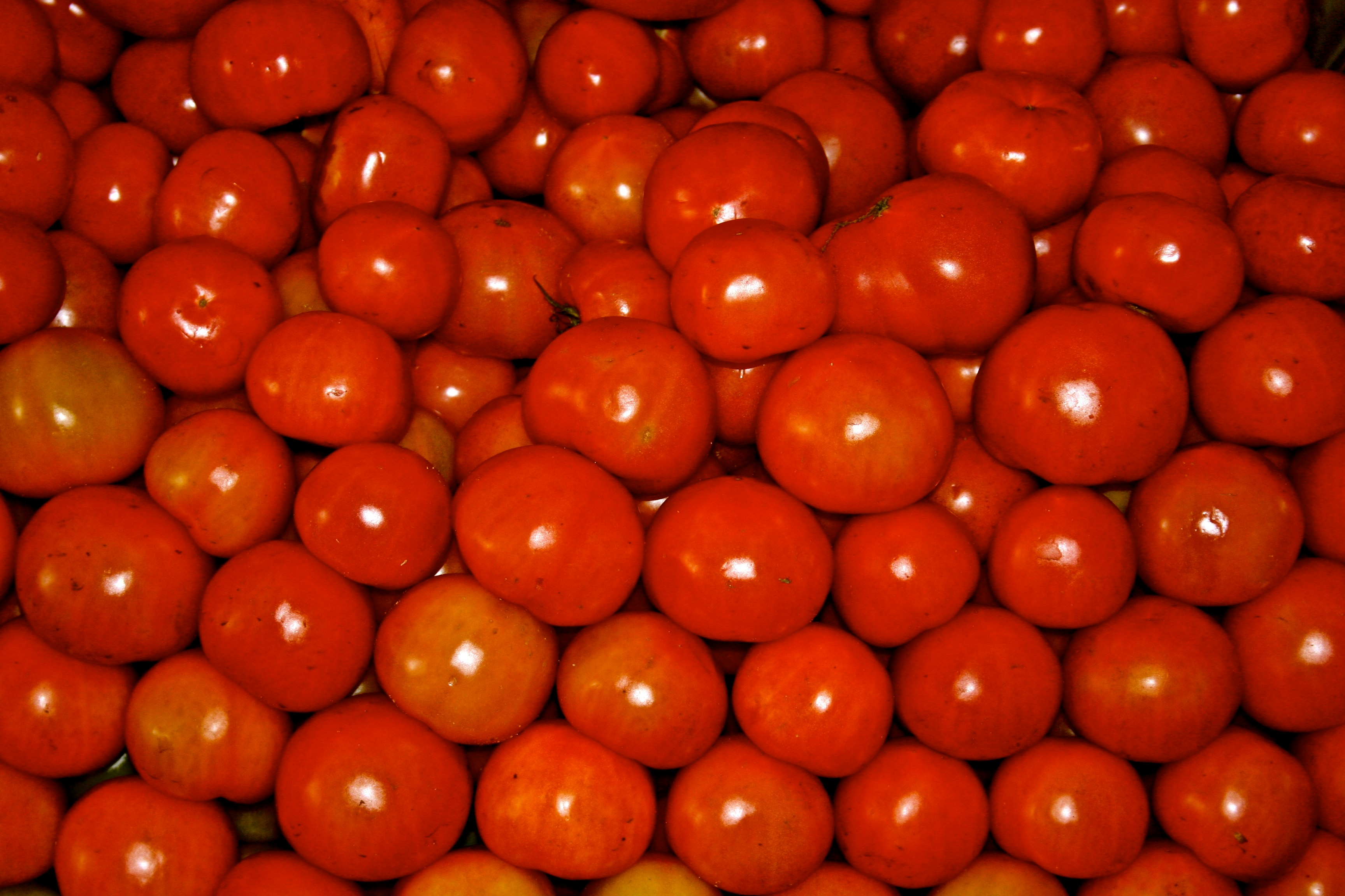 Tomatoes